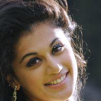 Tapsee Pannu Latest Stills | Picture 115823